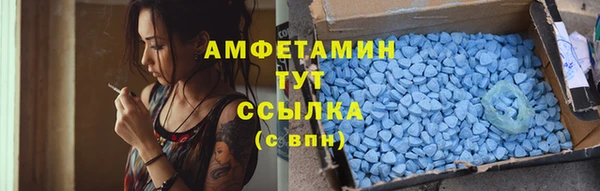 PSILOCYBIN Корсаков