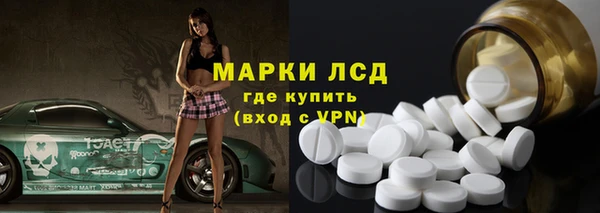 PSILOCYBIN Корсаков