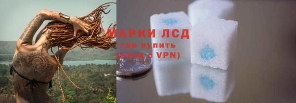 PSILOCYBIN Корсаков