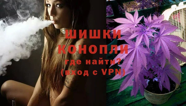 амф Костерёво