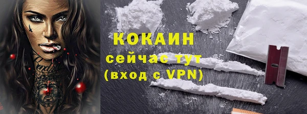 PSILOCYBIN Корсаков