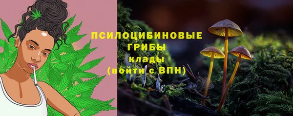 PSILOCYBIN Корсаков