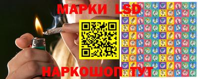 стафф Волгодонск