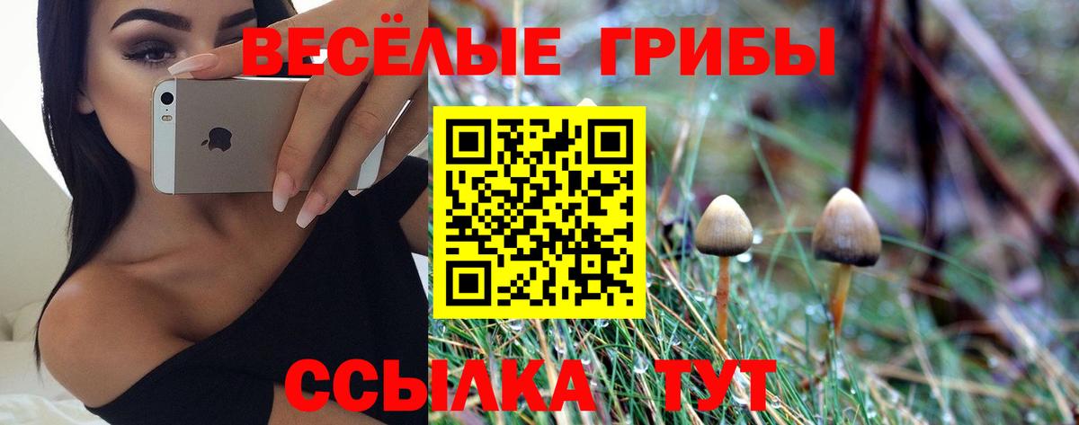 Галлюциногенные грибы мицелий  Вход с VPN  наркошоп  Электросталь 