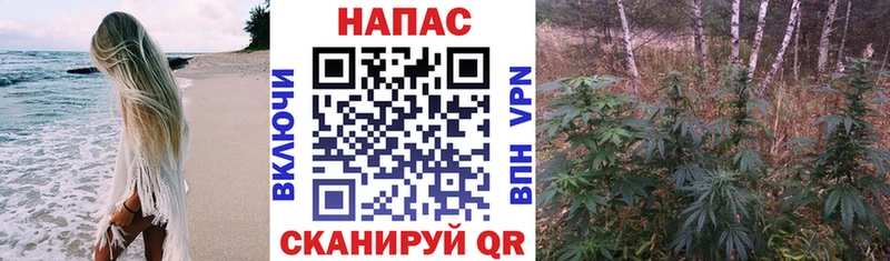 МАРИХУАНА Amnesia  Электросталь 